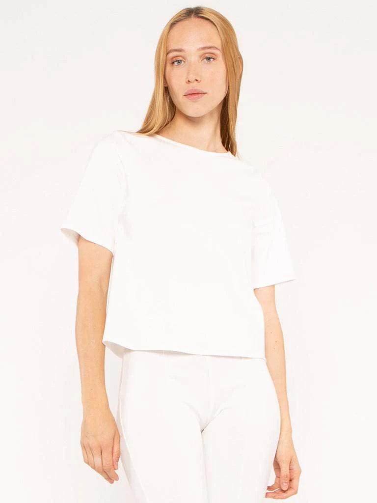 Ripley Rader Women's Shirts & Tops Off White / 2 (S) Ripley Rader Ponte Knit Short Sleeve Top Extended