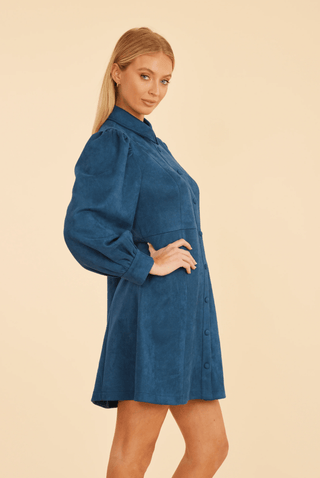 Dolce Cabo Faux Suede Dress