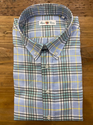 Alan Paine Men's Shirts Alan Paine Blue Plaid Shirt