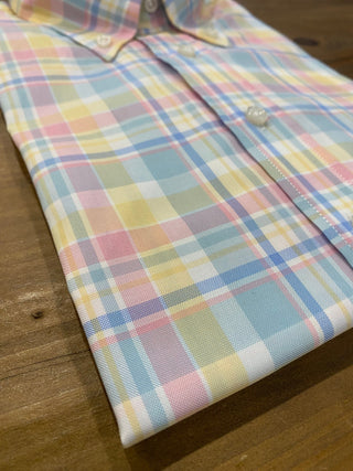 Alan Paine Men's Shirts Alan Paine - Short Sleeve Madres Shirt