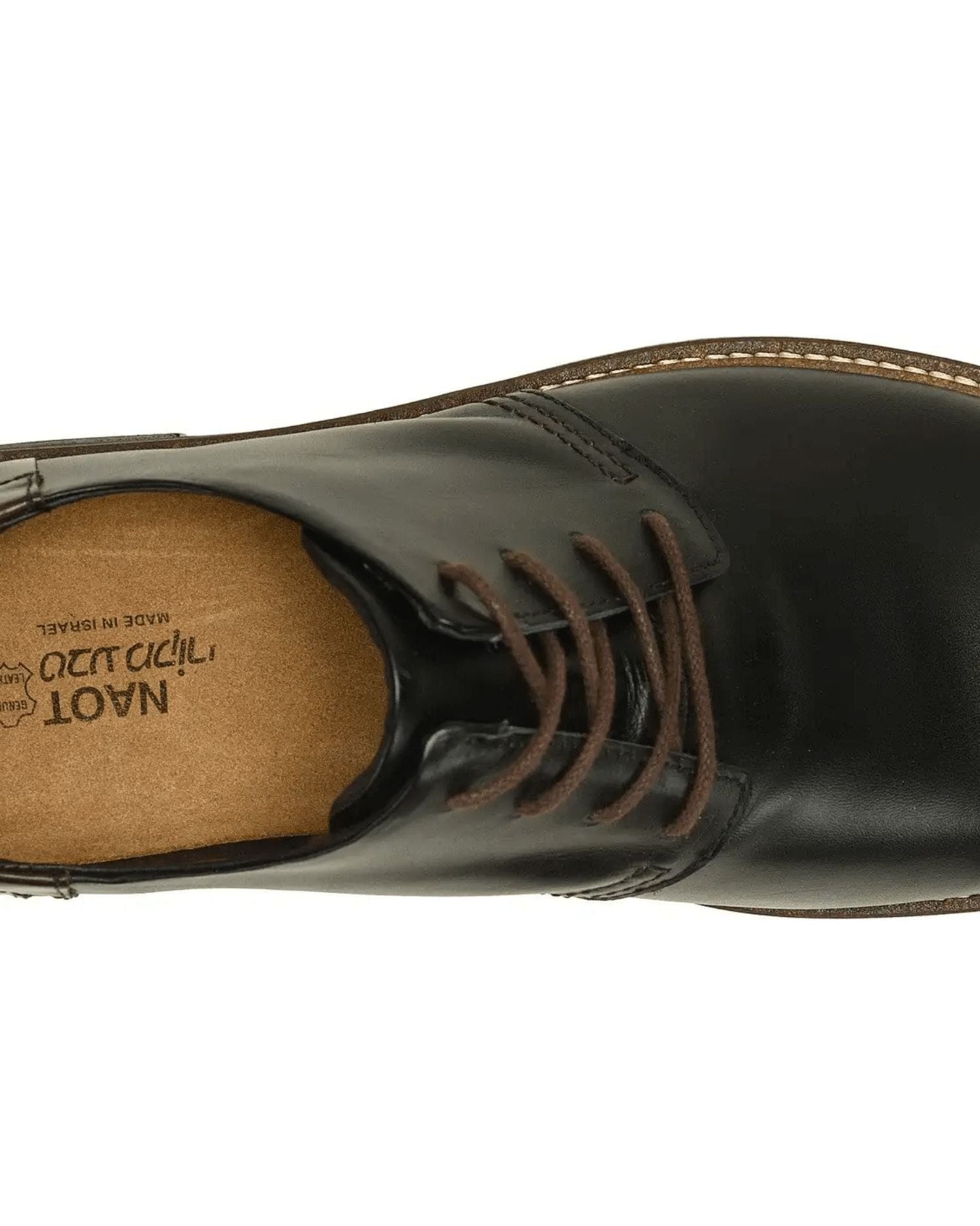NAOT Men's Shoes Naot - Executive Collection - Chief - Black Raven