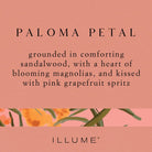 Illume Candles and Scents Paloma Petal Boxed Glass Candle